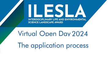 the application process